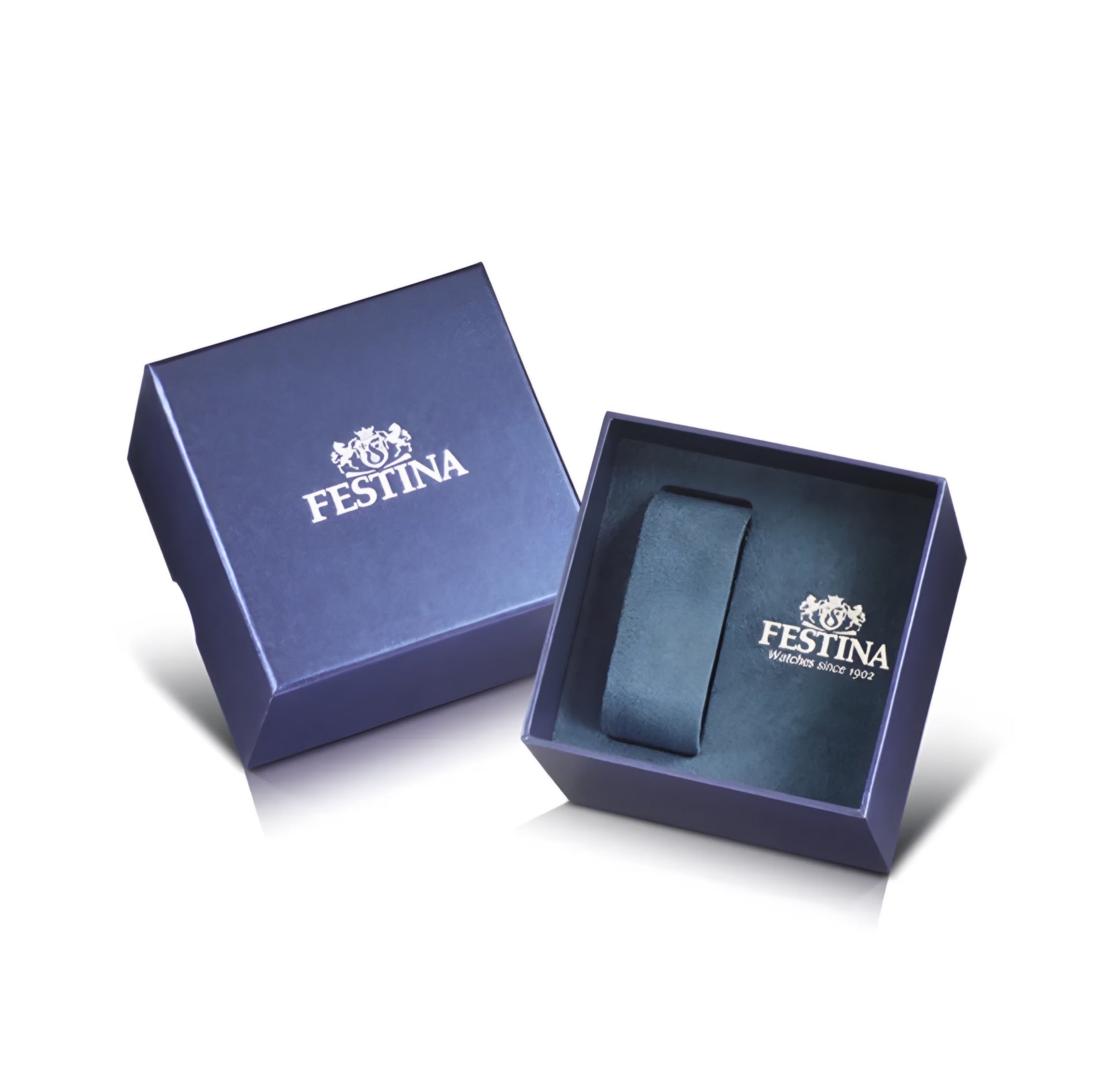 Reloj Festina F20466/1 Titanium Hombre