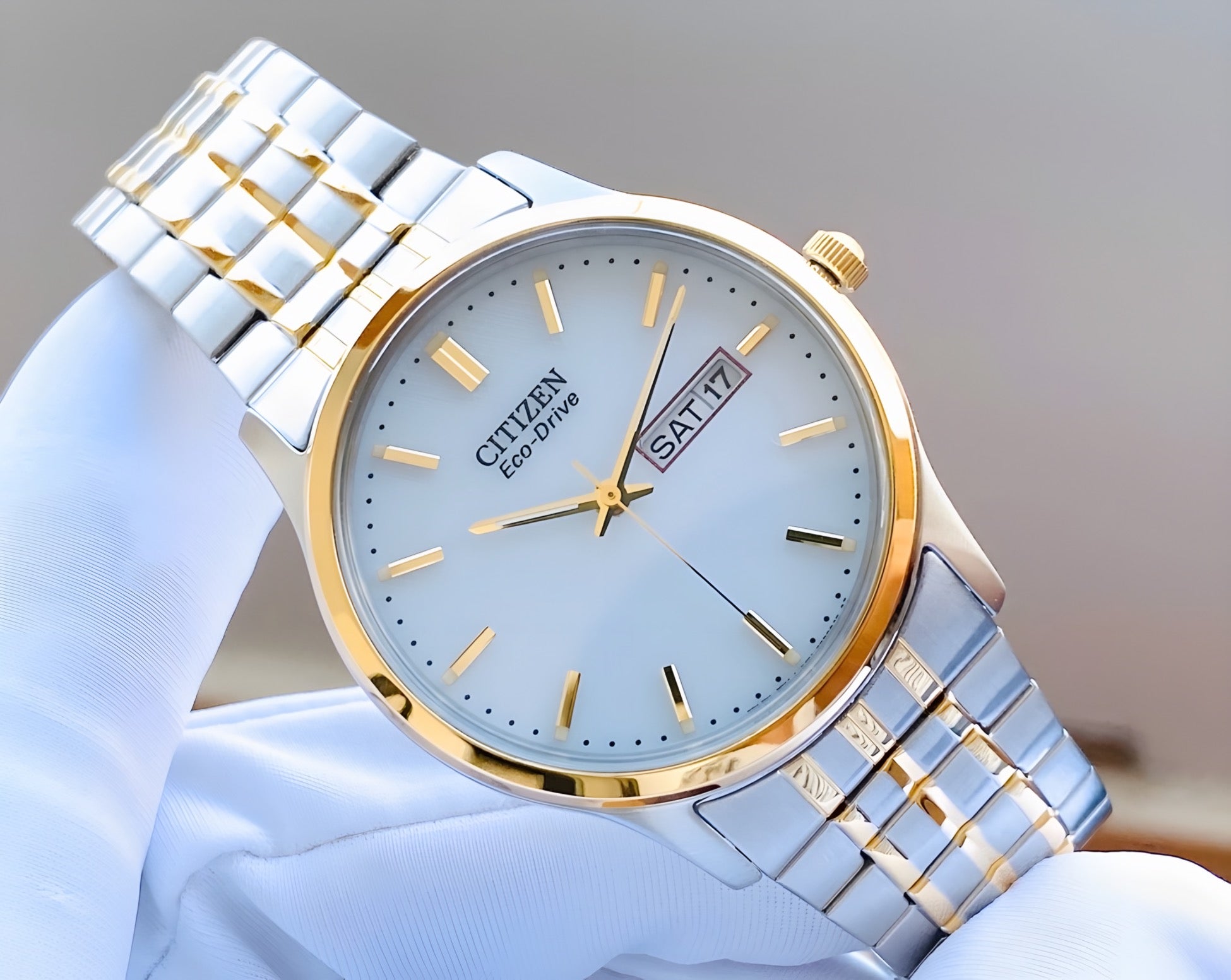 Reloj Citizen Bicolor Eco-Drive BM8454-93A Hombre