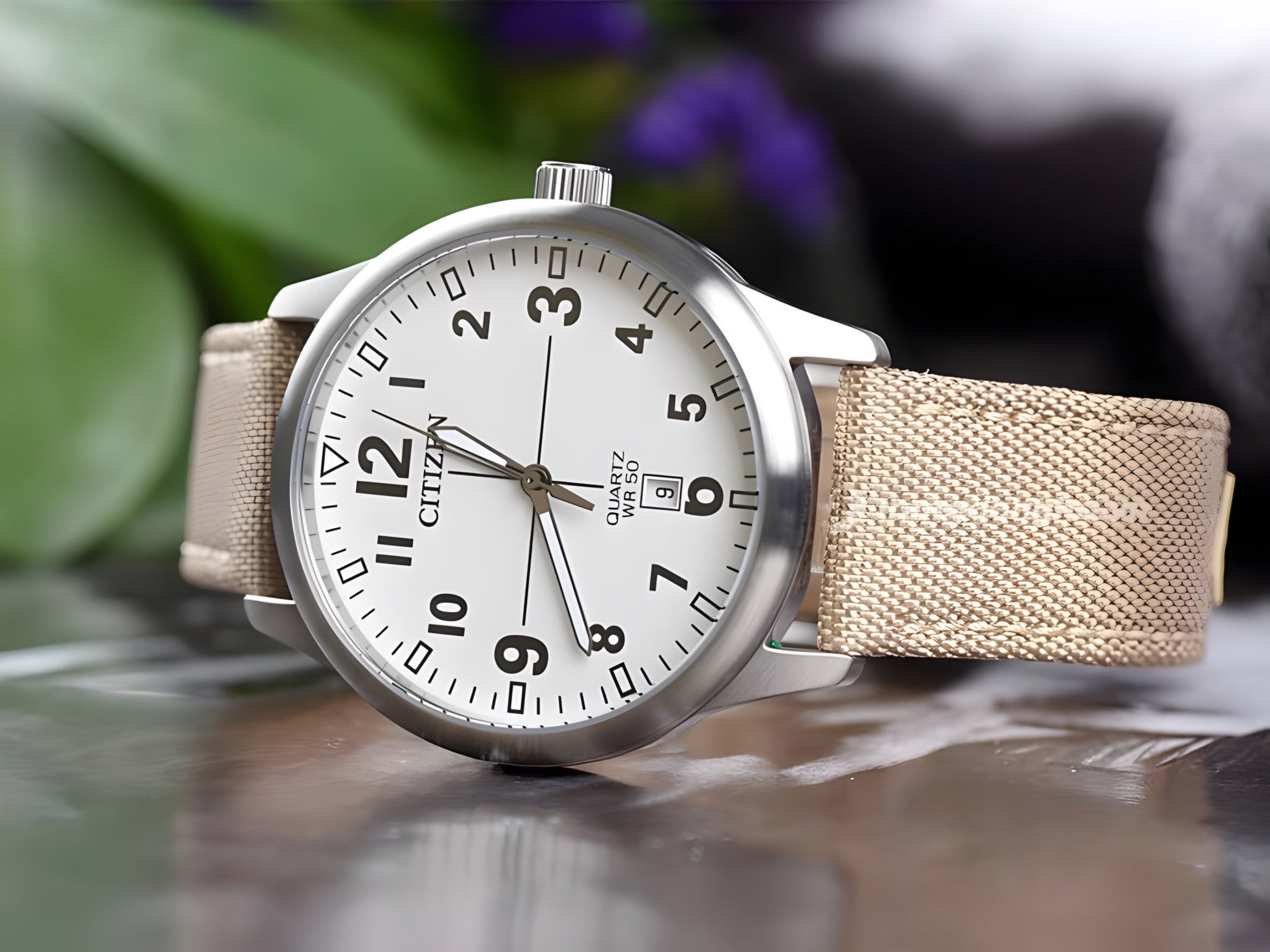Reloj Citizen BI1050-05A Correa Nylon Hombre